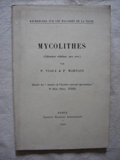 Mycolithes
