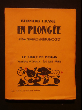 En plongée