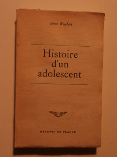 Histoire d'un adolescent