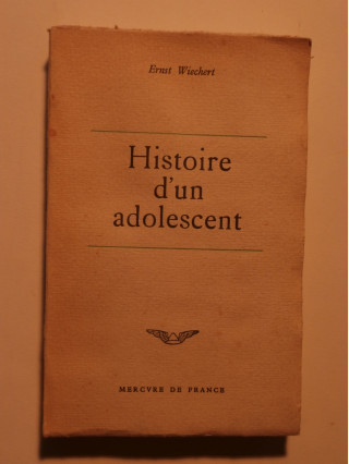 Histoire d'un adolescent