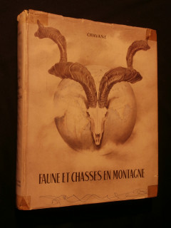 Faune et chasse en montagne